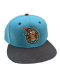 Willey Snapback Hat