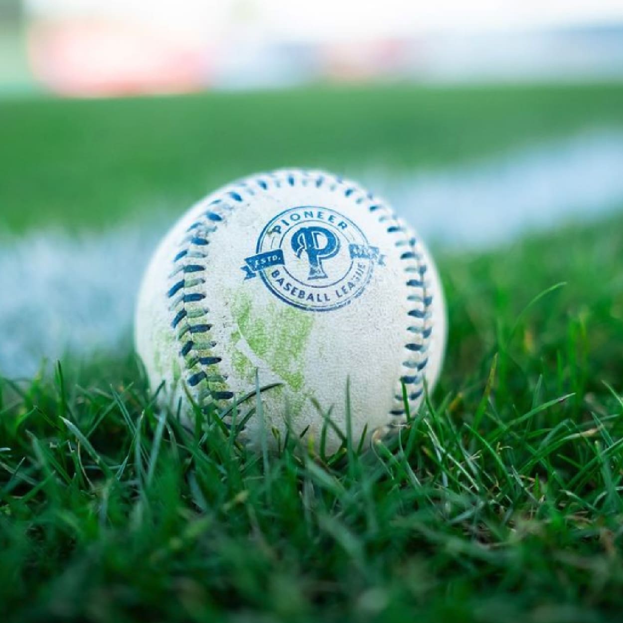 Blank Pioneer Regulation Baseball
